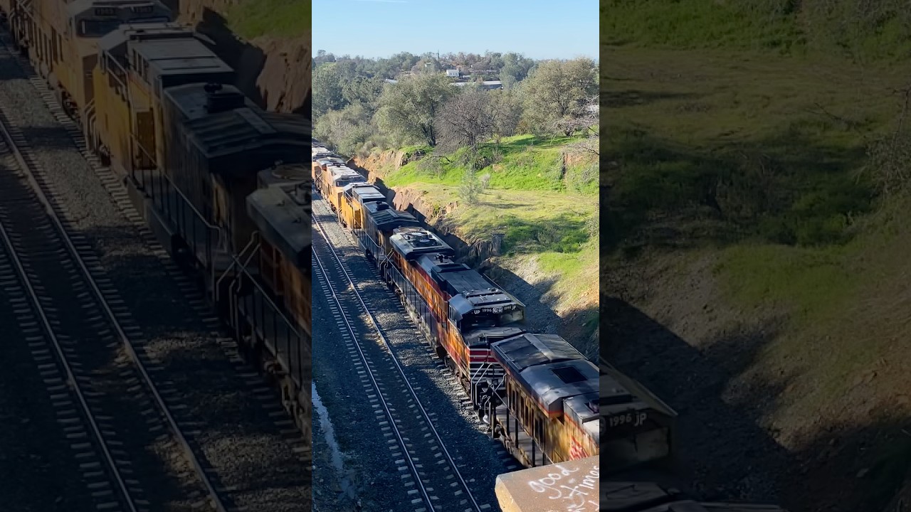 UP 1996 at Newcastle! 