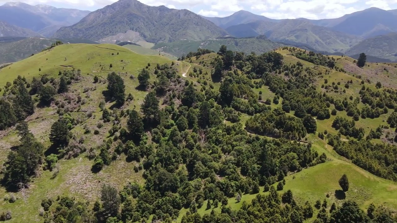 1809 Motueka Valley Highway