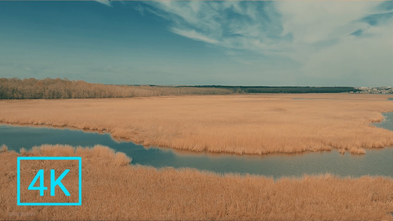 Ethereal Floodplain Ambience: Relaxing 4K Nature Sounds for Deep Meditation & Study | Daydreams