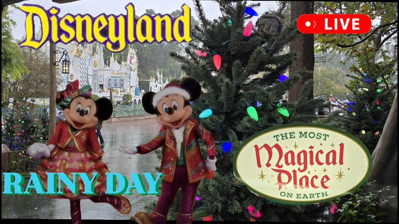 DISNEYLAND Rainy Day #livestream Happy Holiday Rides, Shows Fun