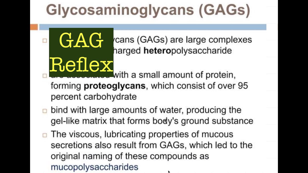 Carbohydrates Structure and Function | CUET- PG| Life Sciences
