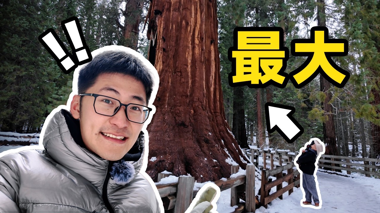 我们在这里...拍到了没见过的素材