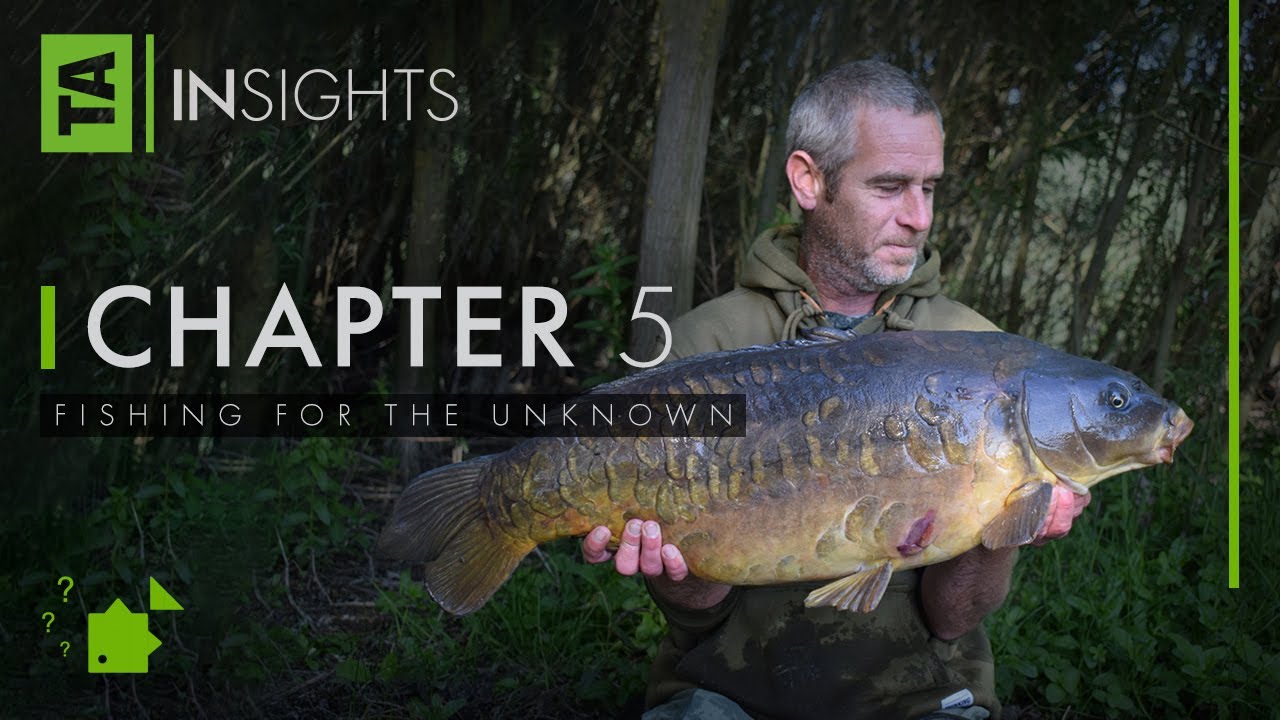 TA|Insights | Volume Two | Chapter Five | Fishing for the Unknown | Si Bater