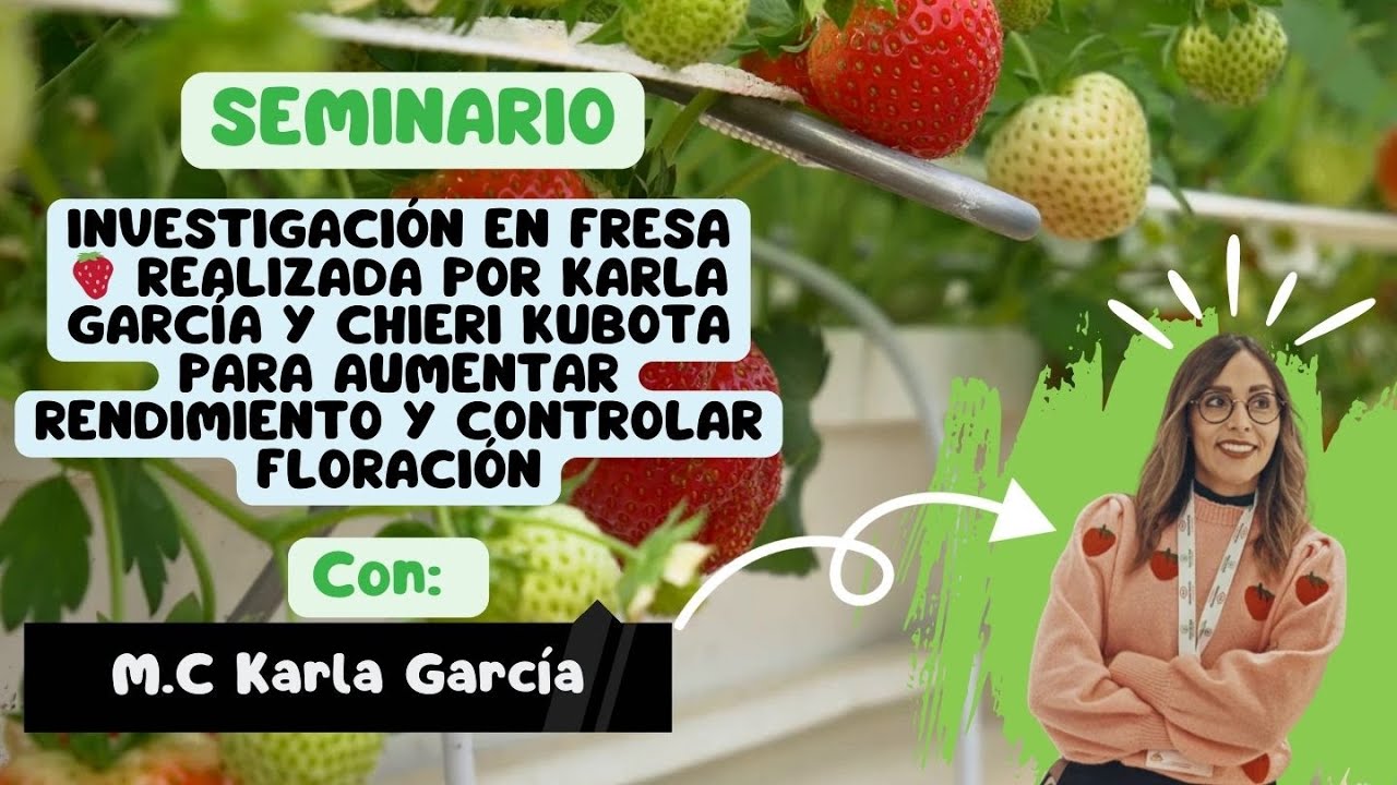 Investigación fresa: por Karla García y Chieri Kubota aumentar rendimiento y controlar floración
