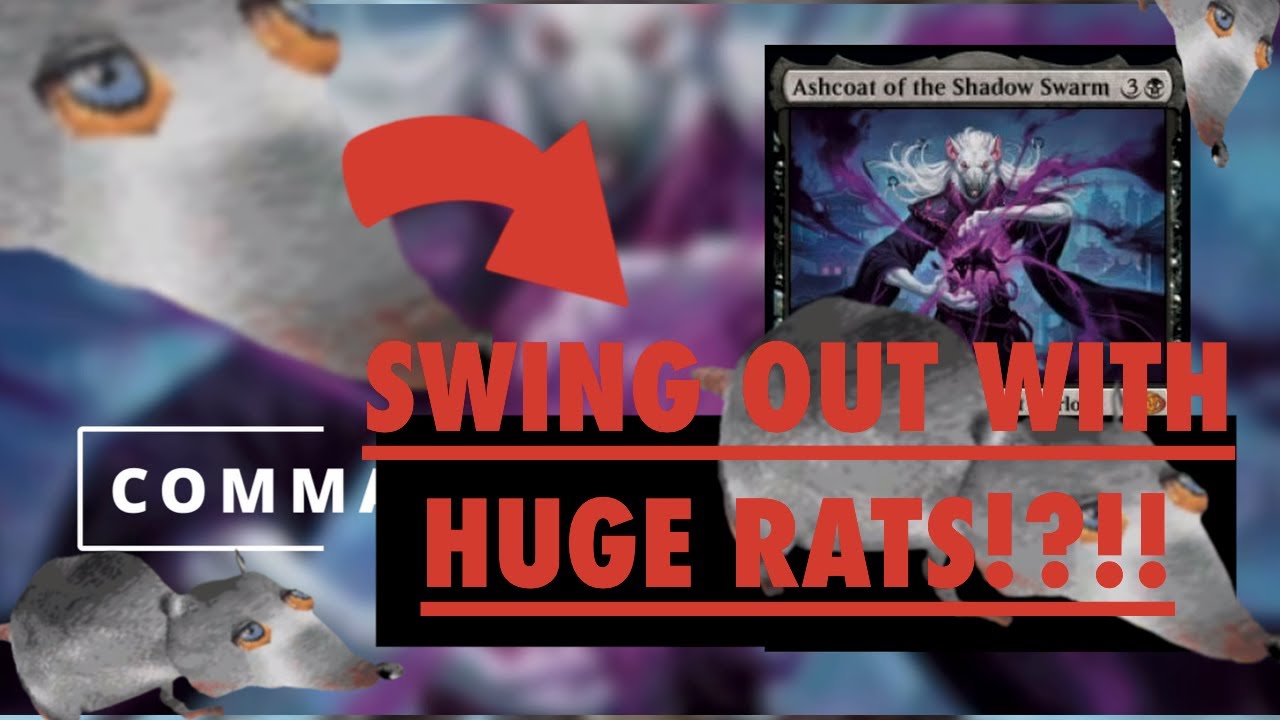 Ashcoat Rat Colony Deck Tech #5