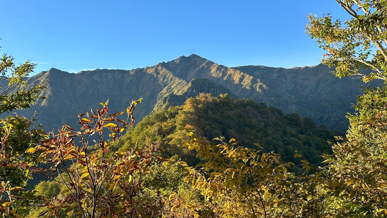 【新潟の山】 荒沢岳 登り （魚沼市） 標高1969m