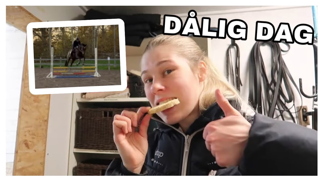 SLÅR I HUVUDET OCH TRILLAR NÄSTAN AV | STALLVLOGG