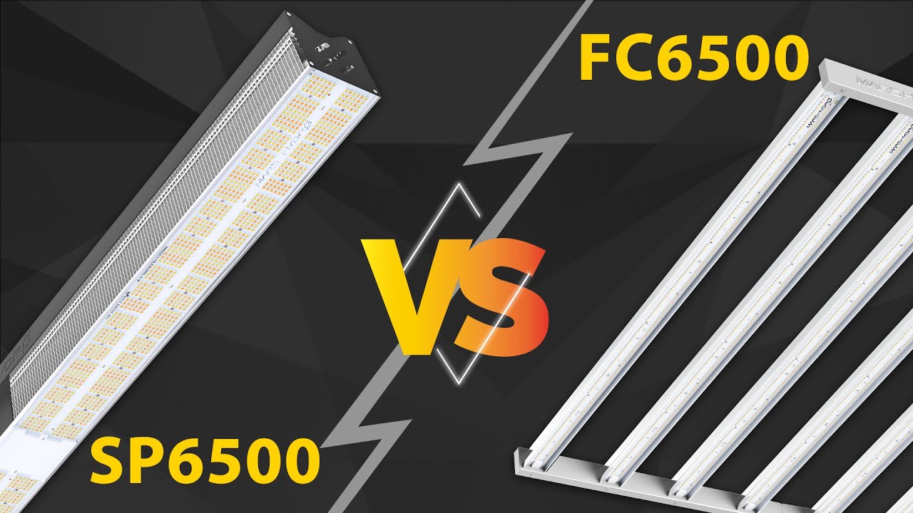 Mars Hydro SP6500 VS FC6500 - Best Commercial Light Fight