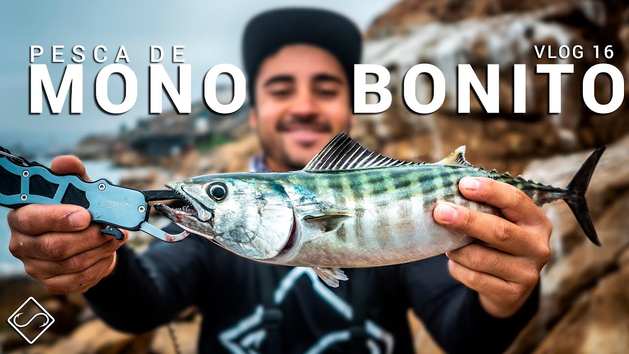 Pesca de MONOS o BONITOS - Vlog 16