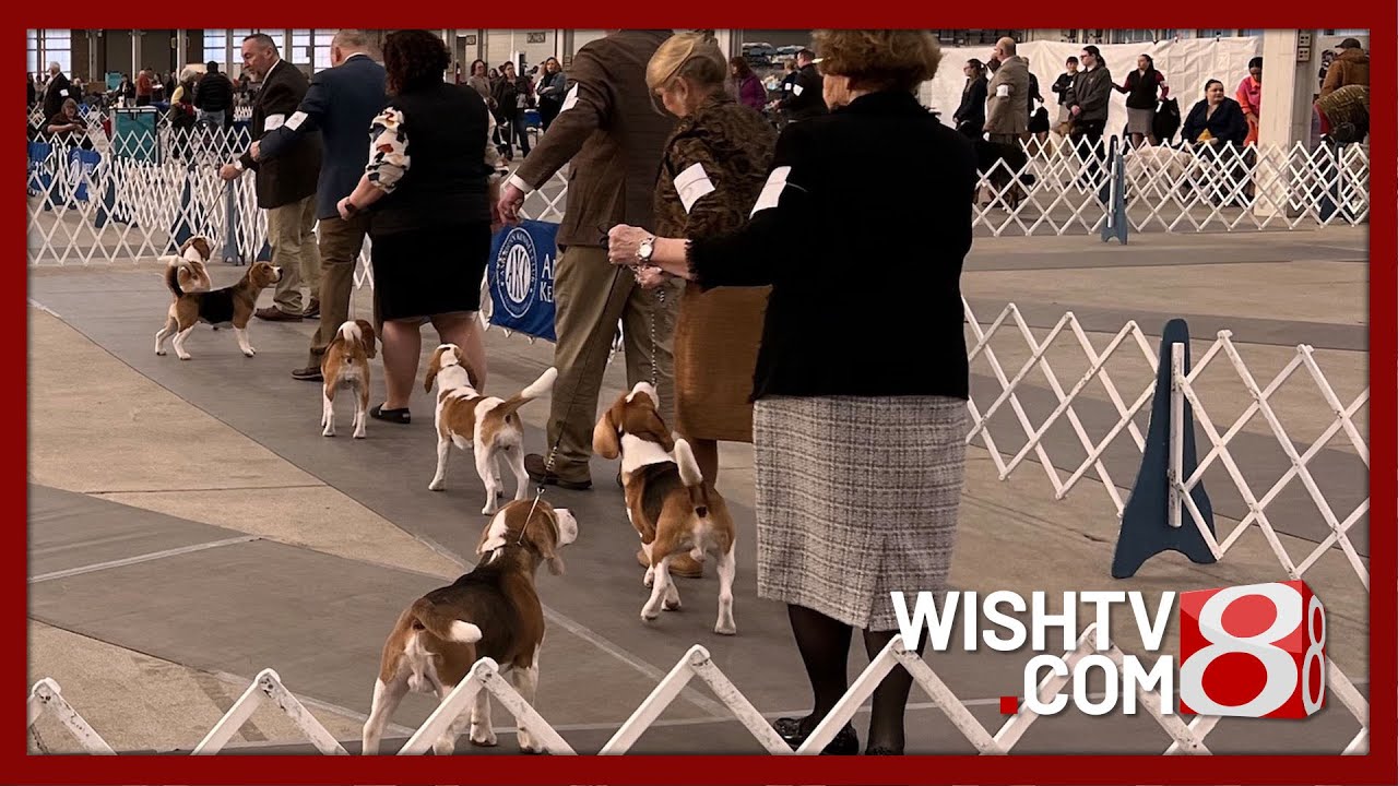 'Pet Pals TV': Indy Winter Classic returns Jan. 29