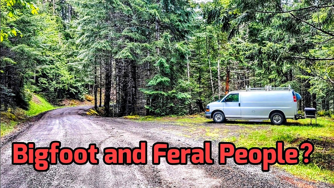 Free Dispersed Camping in the Oregon Woods! van life 🚐🌎😳