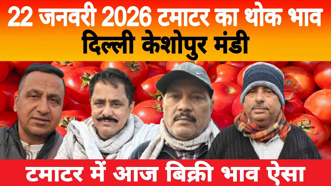22 Jan 2026 Delhi 🍅 टमाटर होलसेल भाव | Keshopur Mandi | Today Tomato Rate #tamatar #tamatarmandi