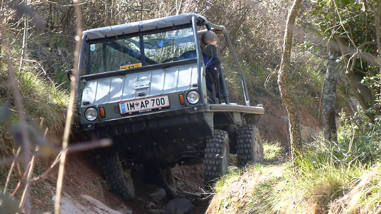 Steyr Puch Haflinger - Les Comes 4x4