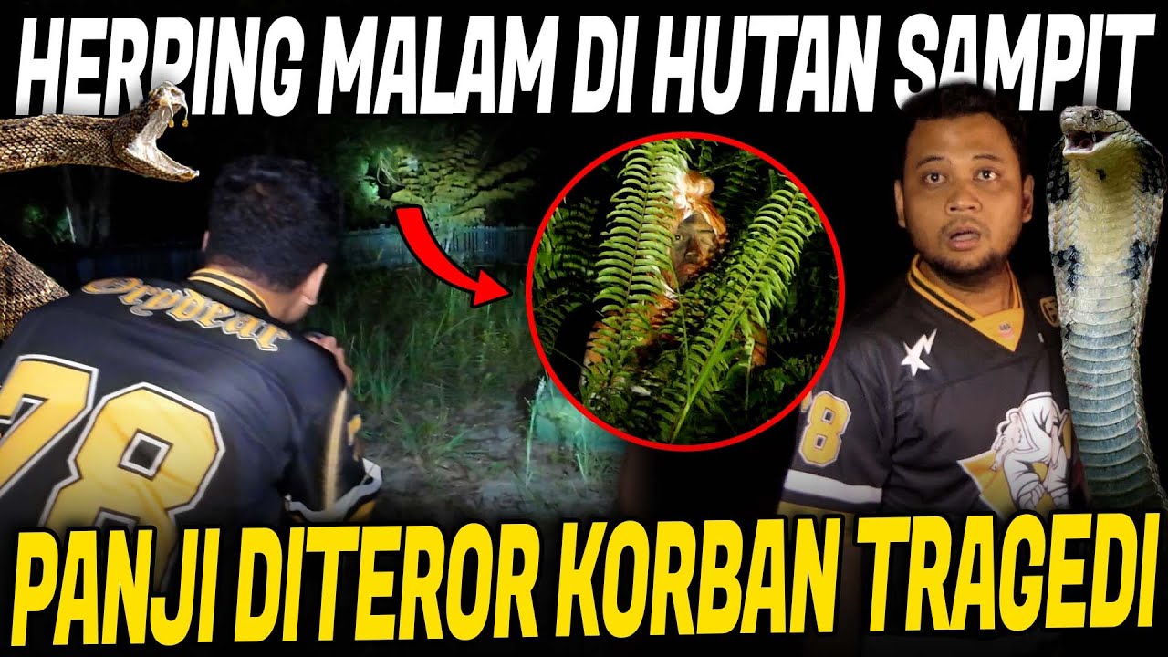 AKIBAT NEKAT CARI ULAR DI PEMAKAMAN MASAL TRAGEDI SAMPIT KALIMANTAN TENGAH