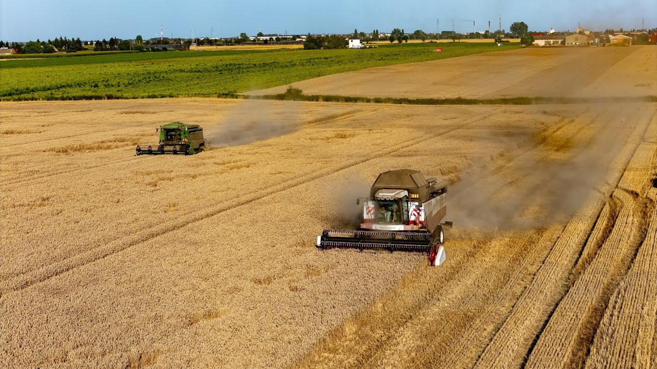 🌾Żniwa w Gminie Strzałkowo 2025🌾