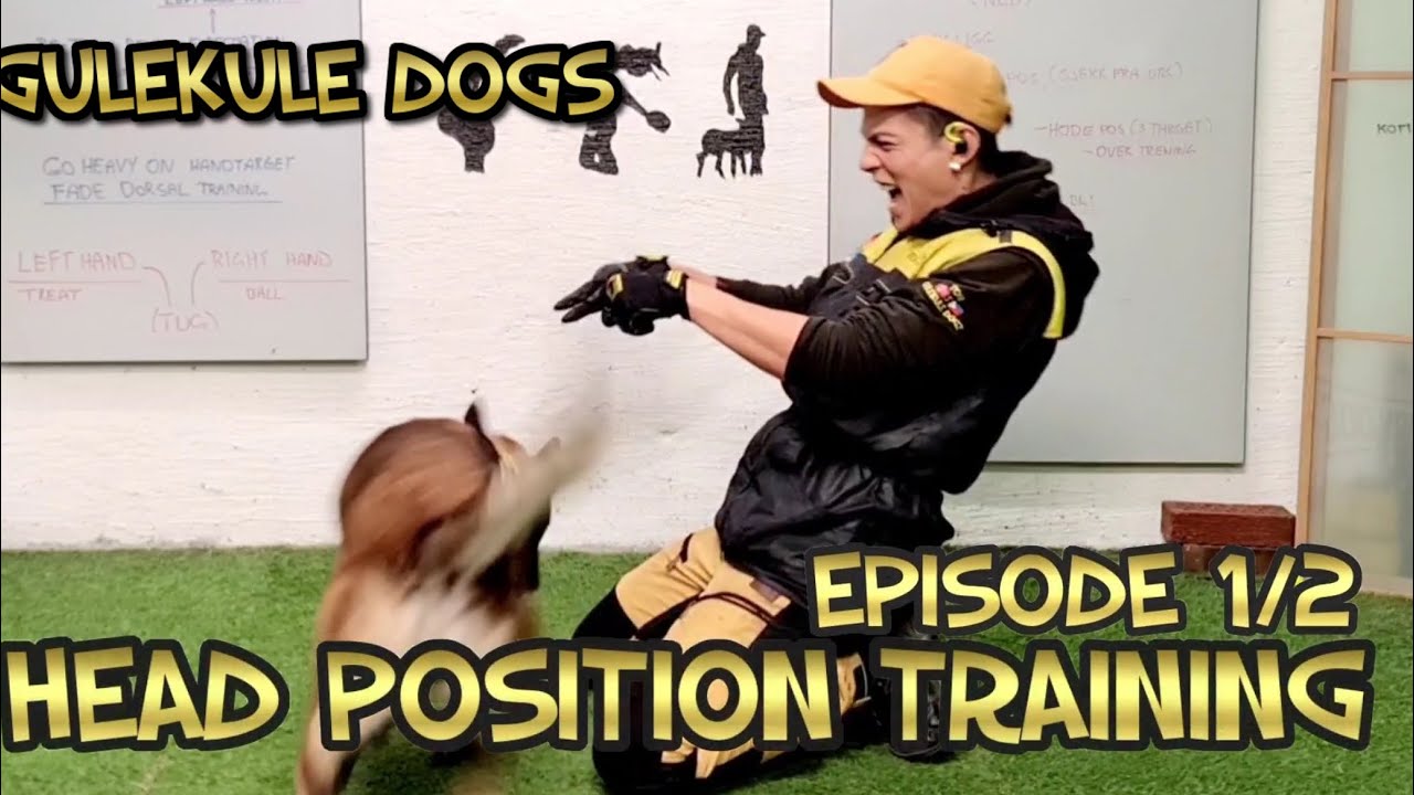 HEAD POSITION TRAINING pt1