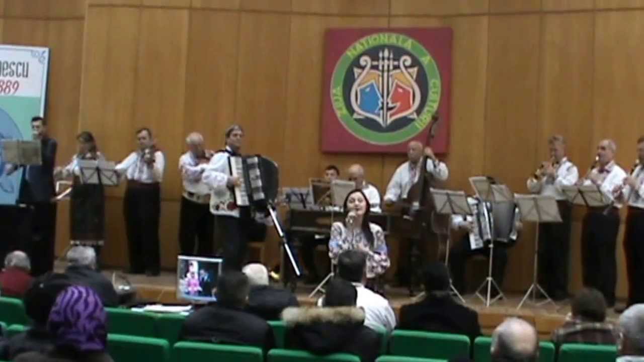 Ziua Culturii la Telenesti