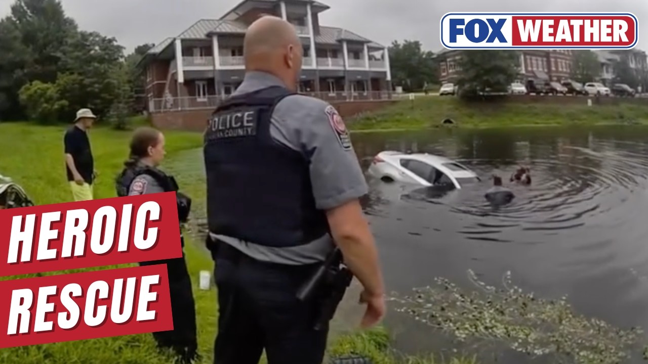 First Responders Form Human Chain To Rescue Driver From Sinking Vehicle
