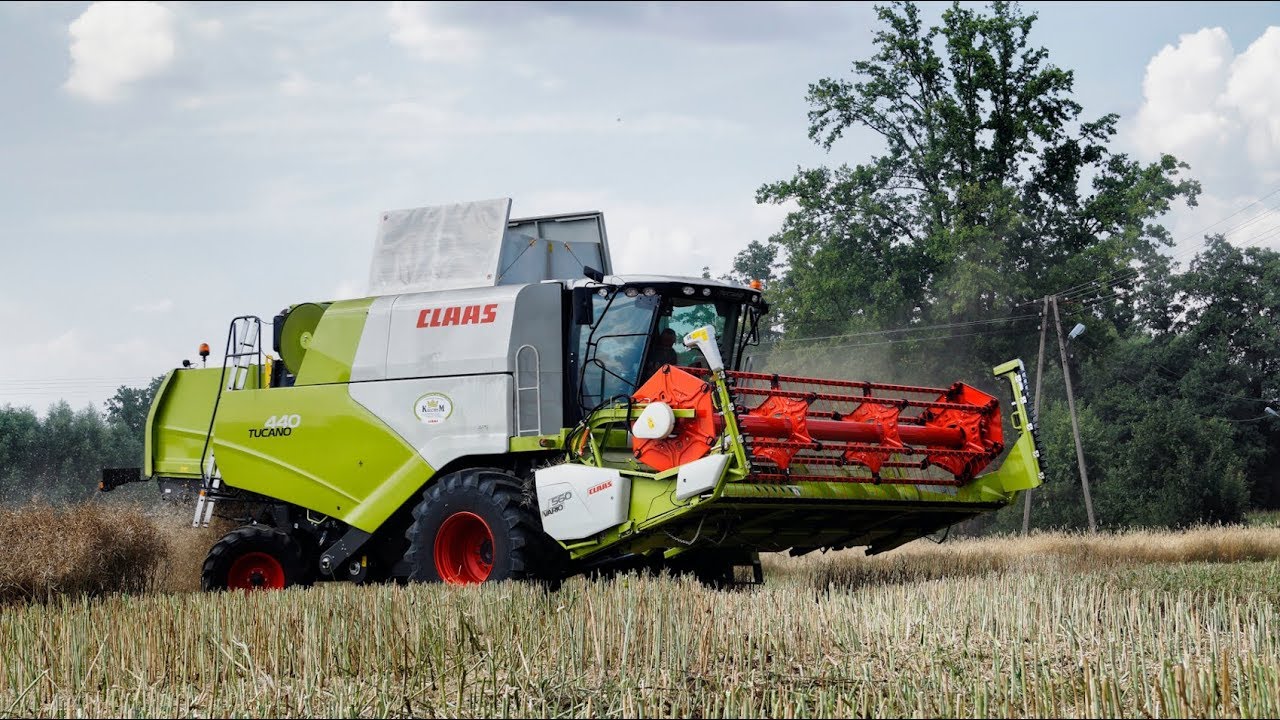 Żniwa 2019 - Rzepak - Claas Tucano 440