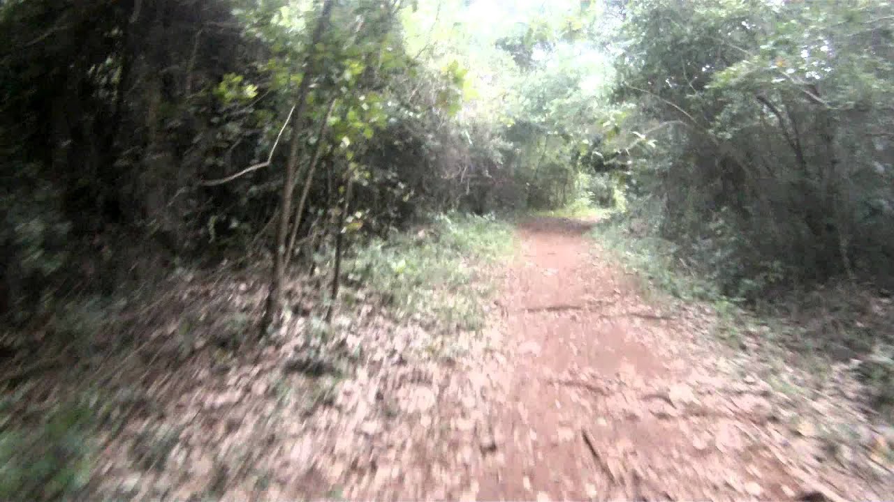 BAJADA DEL TANQUE HD (CON UN ABRUPTO FINAL)