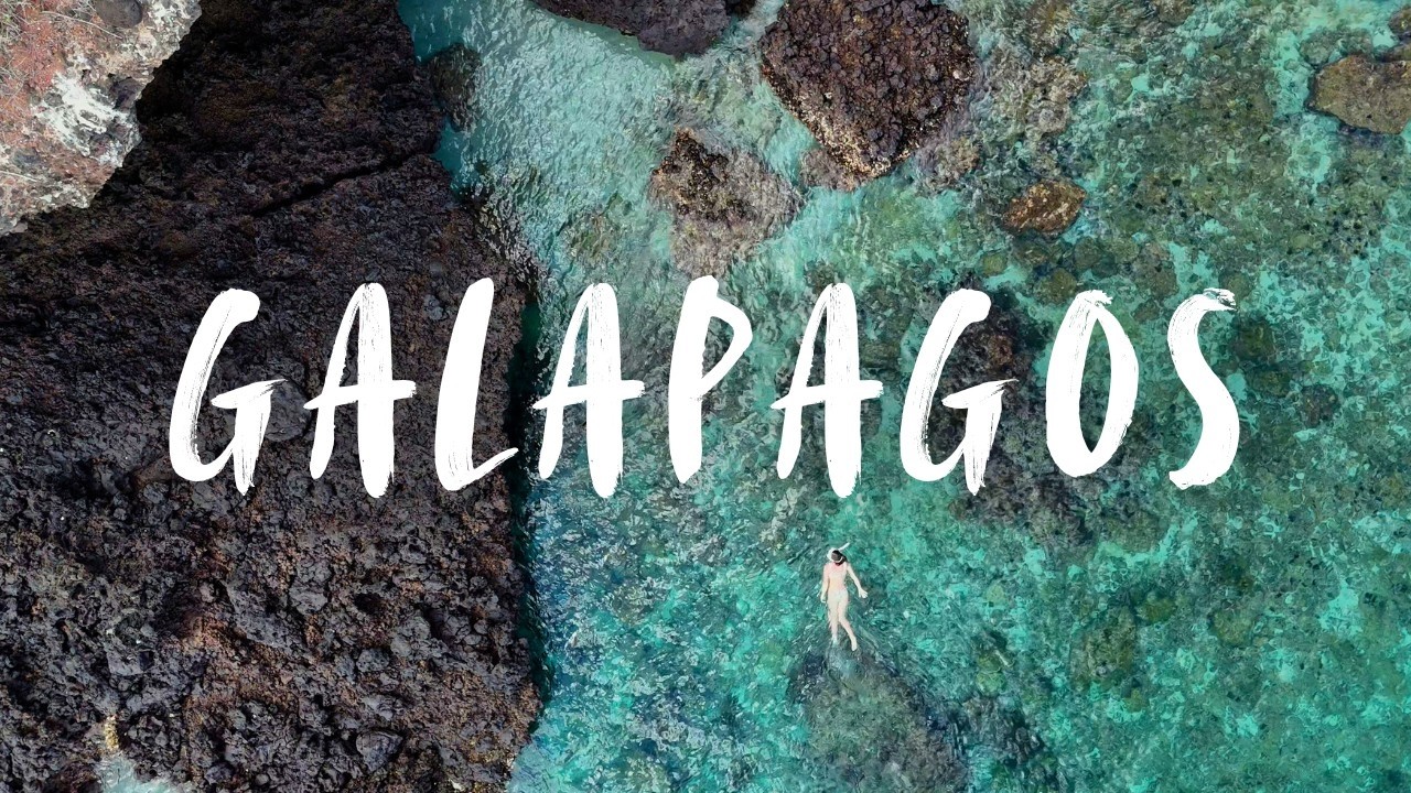 galapagos islands travel vlog