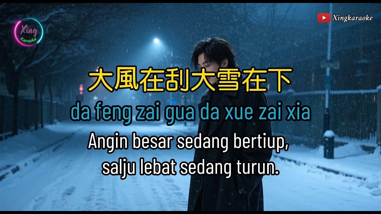 Da feng zai gua da xue zai xia KARAOKE 卡拉OK , 大風在刮大雪在下  ,  王一佳  Wang Yi Jia #動態歌詞Pinyin Lyrics
