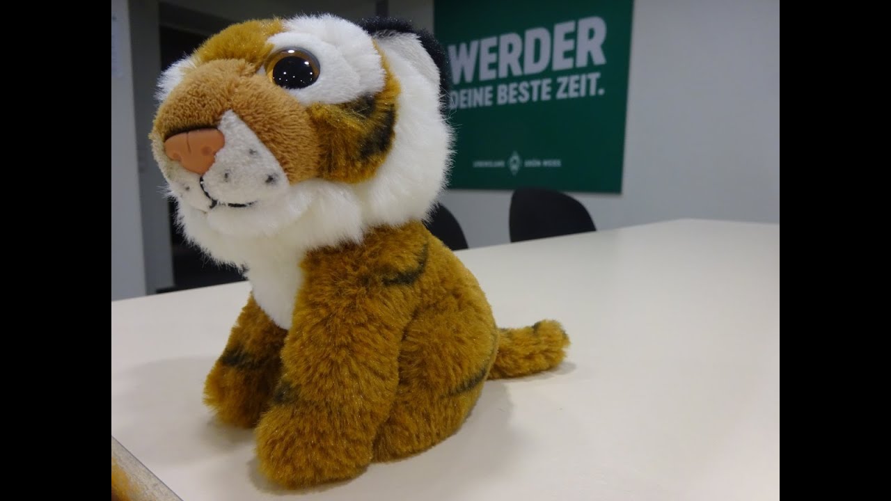 Livestream mit Werdertrainer IM Jonathan Carlstedt