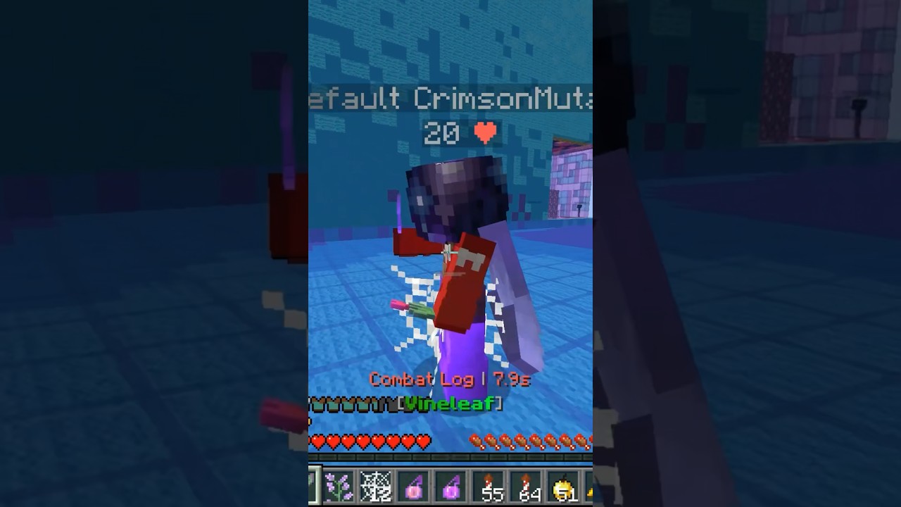 Mini Elytra PvP Montage