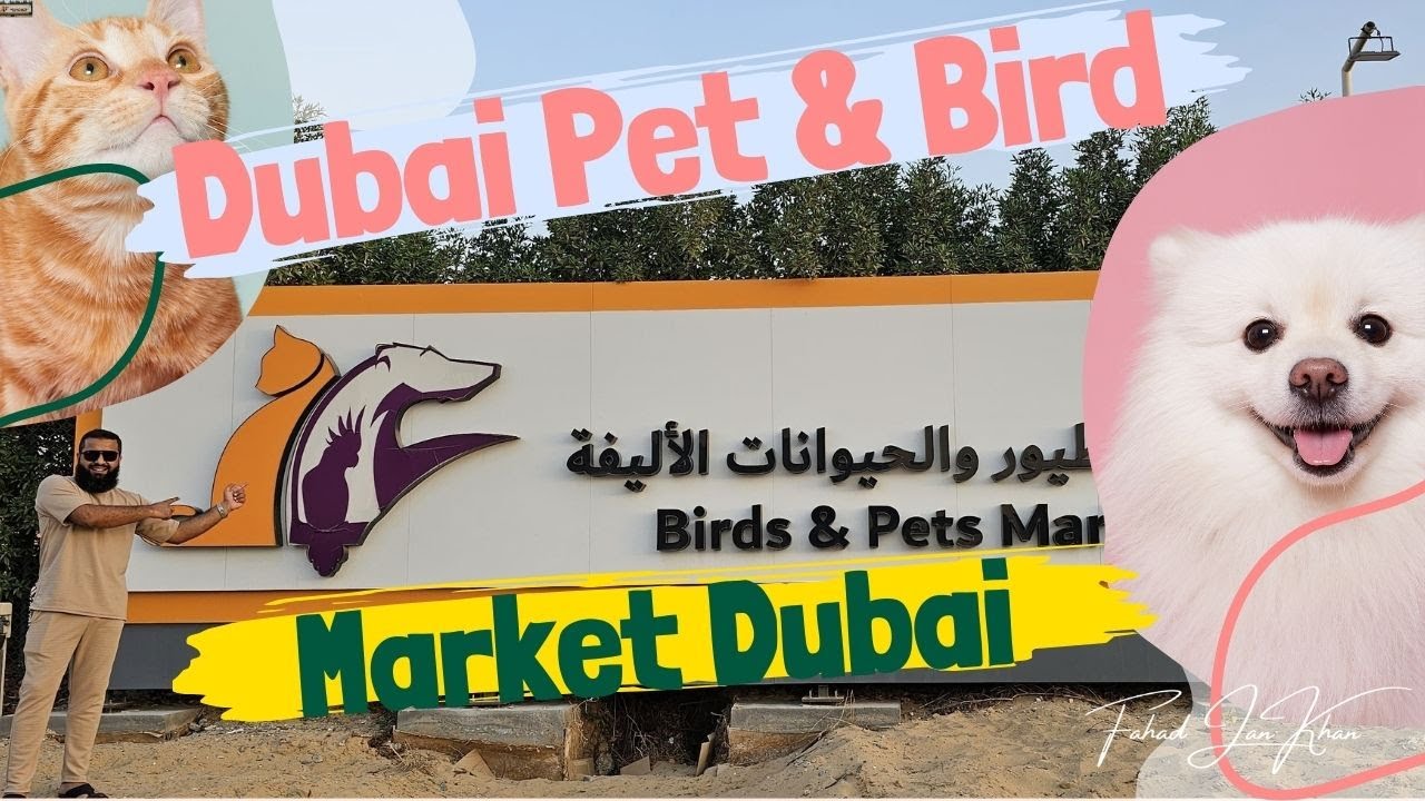 Dubai Exotic Pet Market | All Types of Animals | Birds & Pet Market Dubai