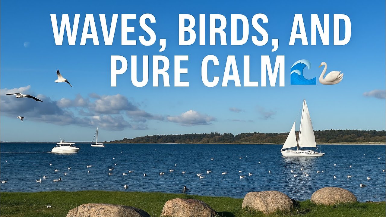 ASMR Waves, Birds, and Pure Calm 🌊🪿| Relaxing Nature Sounds
