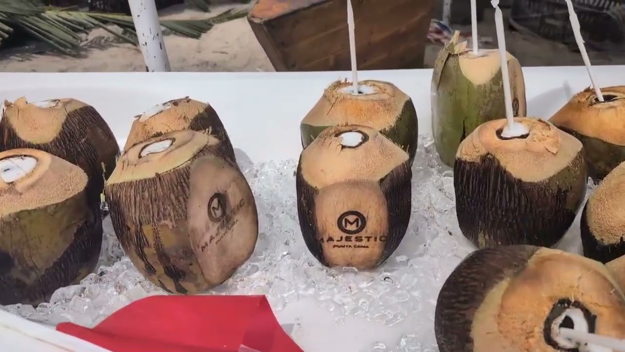 Majestic Elegance Punta Cana - The Legendary beach Coconuts!!