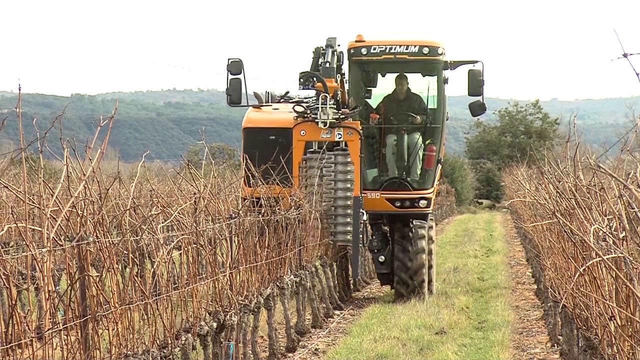 Podadora Visio Optimum