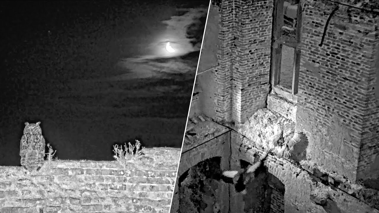 09.–10.02.2026: Romantik und Randale