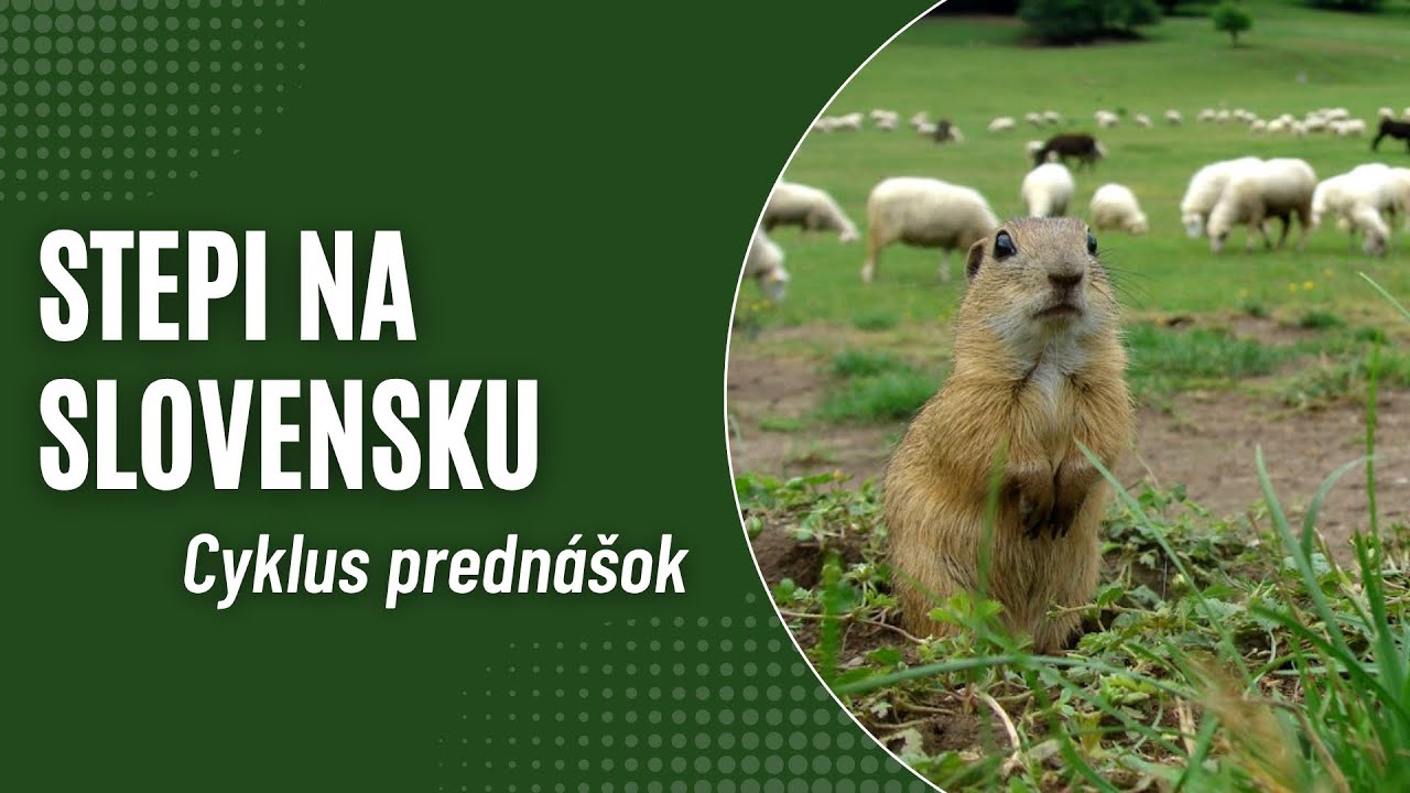 Stepi na Slovensku