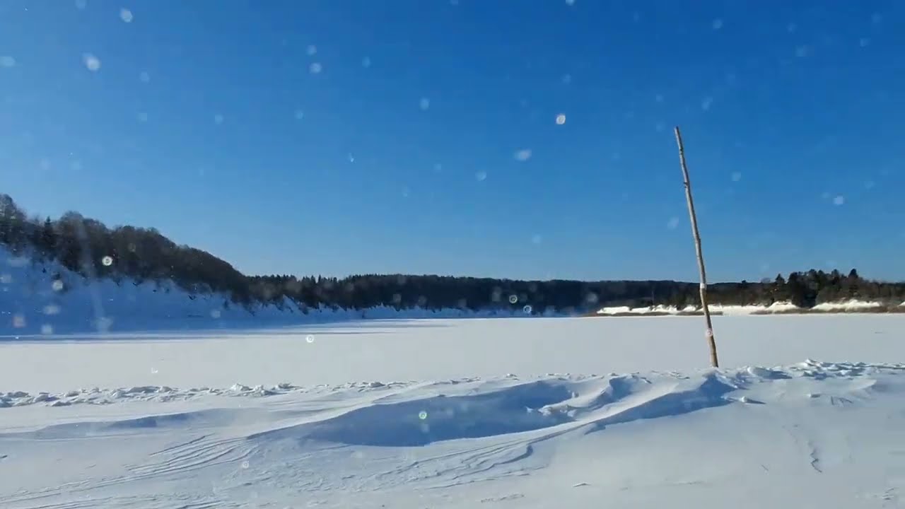 8 Марта едем в Полдарсу Белую и Сухонский