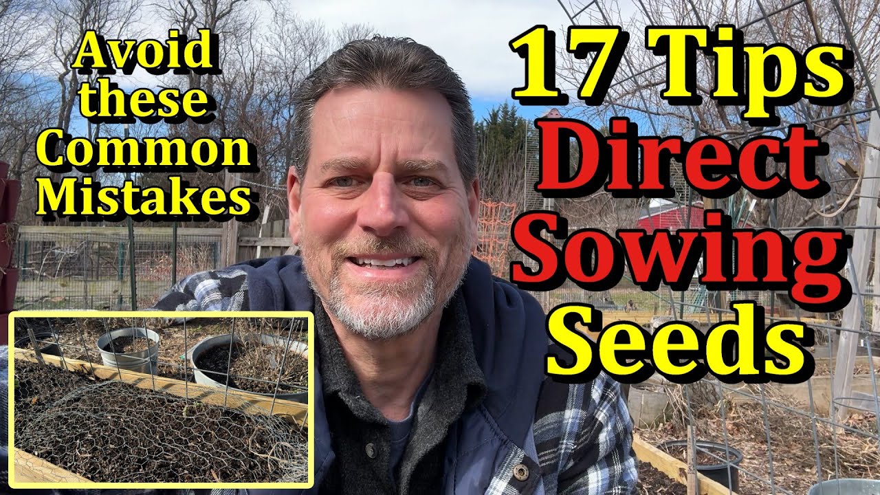 17 Tips for Direct Sowing Seeds in Your Vegetable Garden (Simple Mistakes to Avoid)