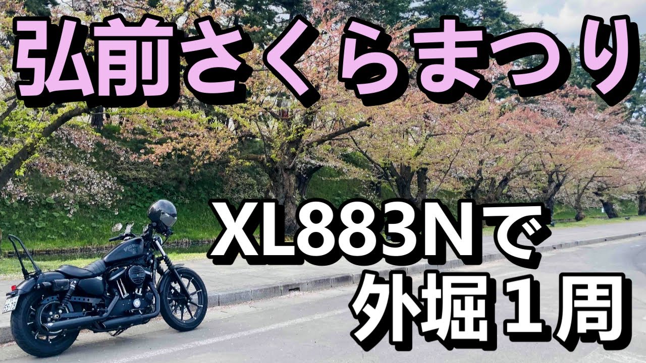 【弘前さくらまつり2023】XL883Nで外堀１周ツーリング【ハーレーダビッドソン】