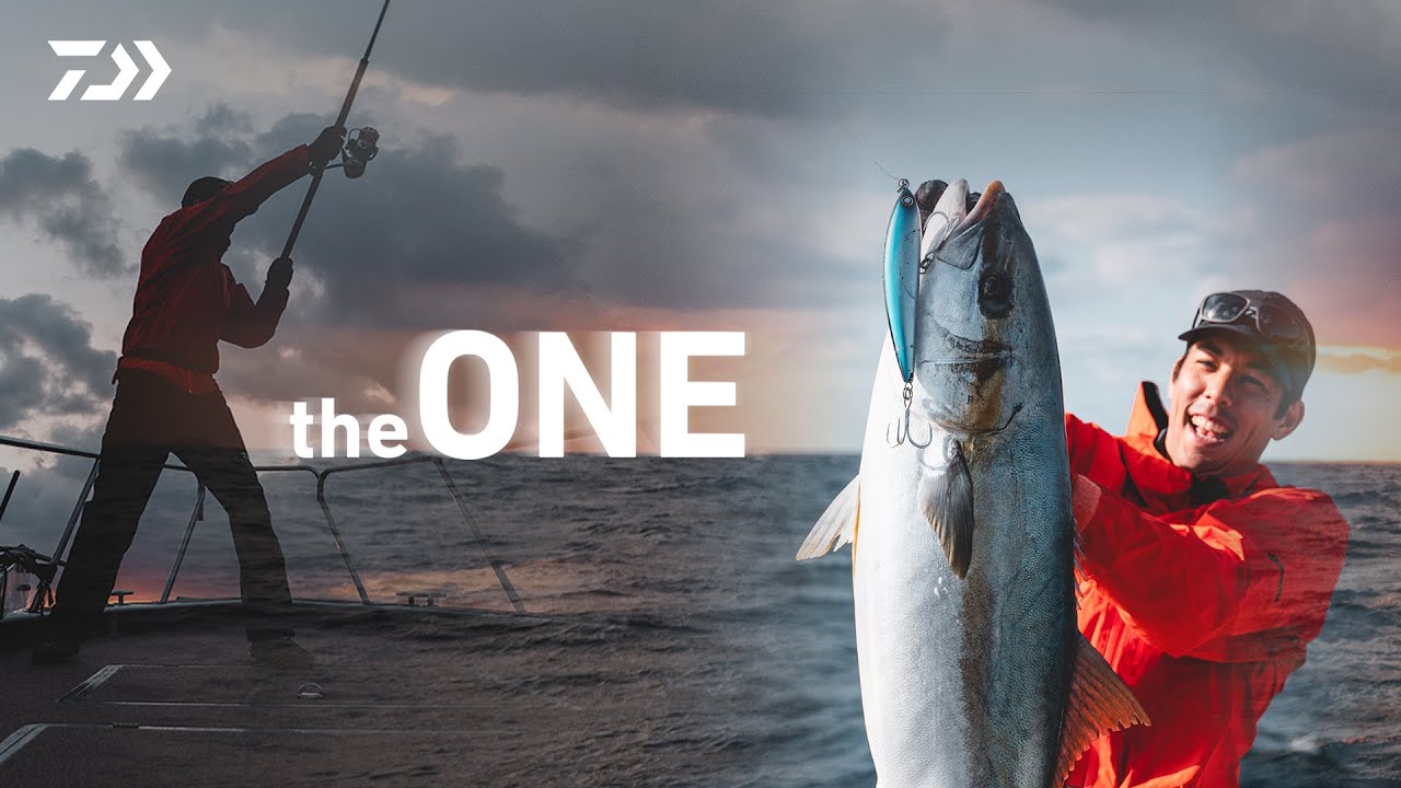 theONE | 26 CERTATE SW & 26 CERTATE HD