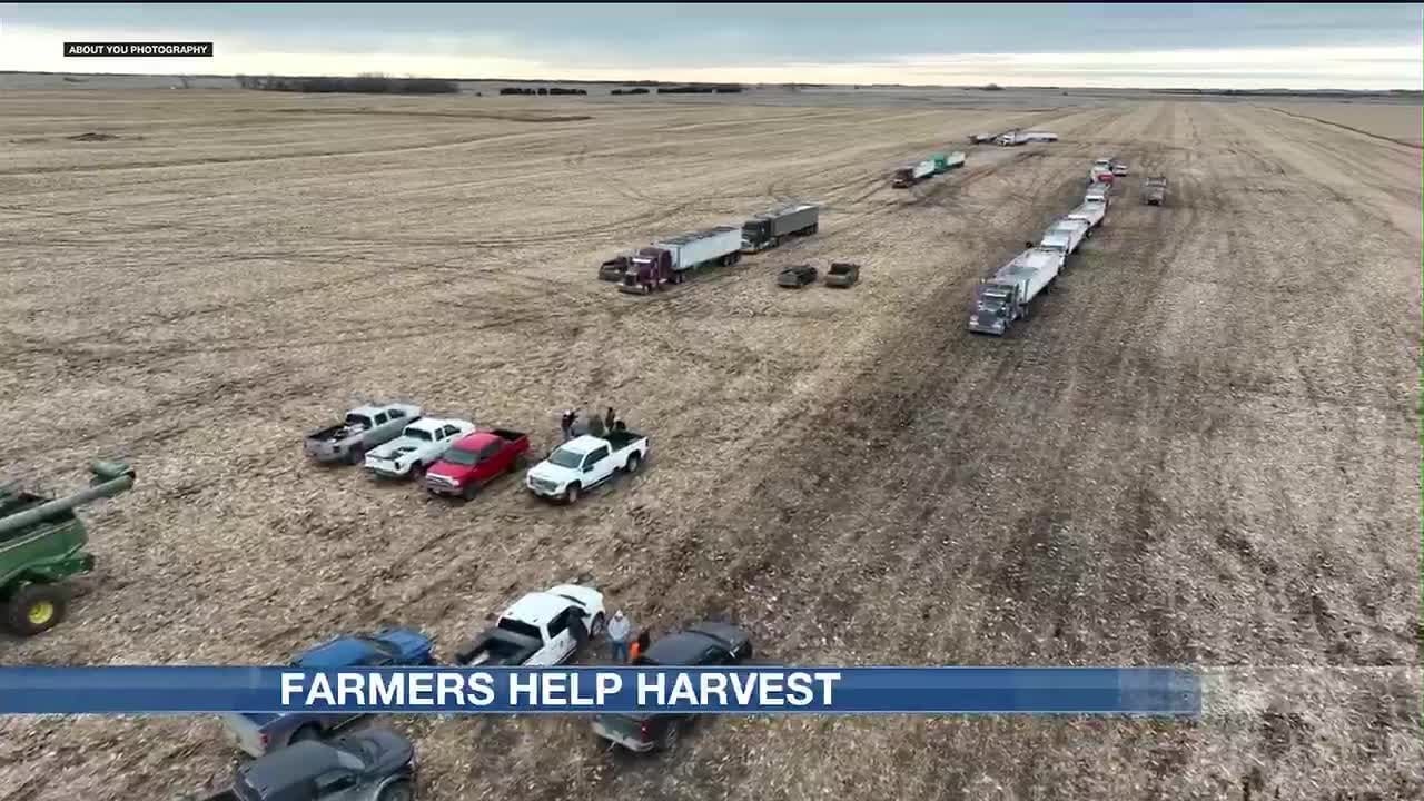 &lsquo;Just friends helping friends&rsquo;: Antler area farmers harvest late neighbor&rsquo;s farm