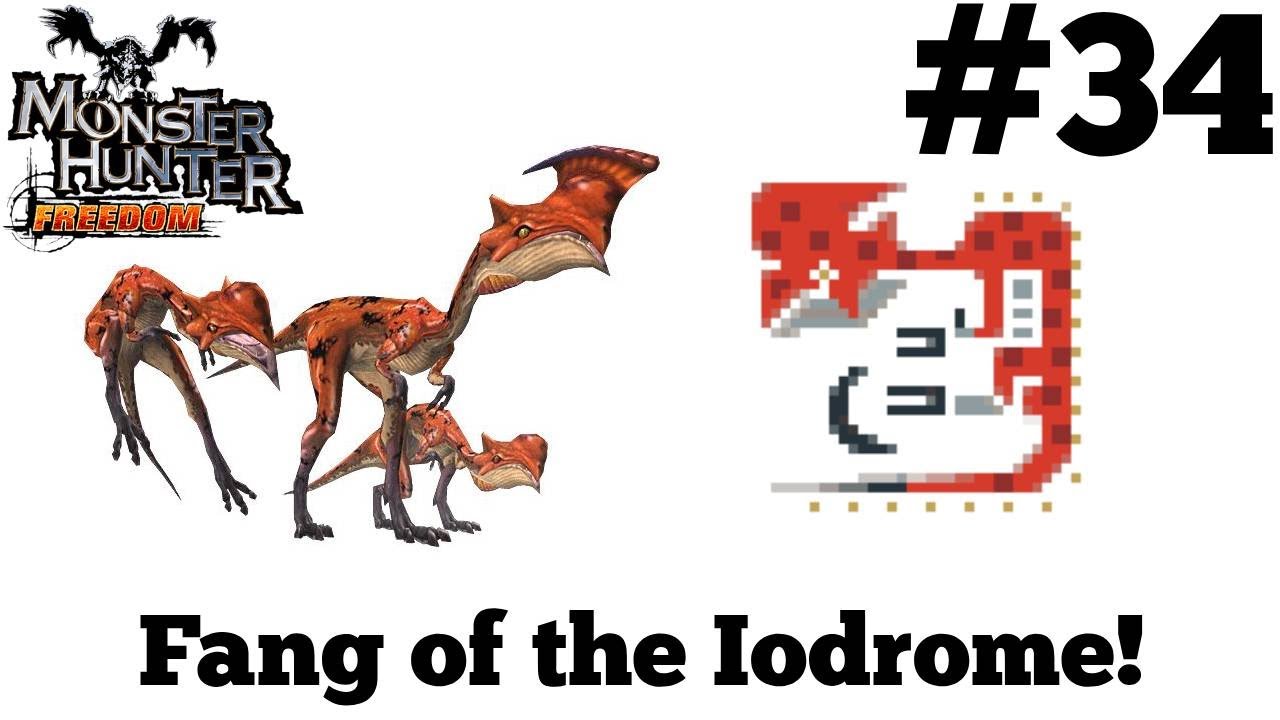 Monster Hunter Freedom #34 - Fang of the Iodrome!