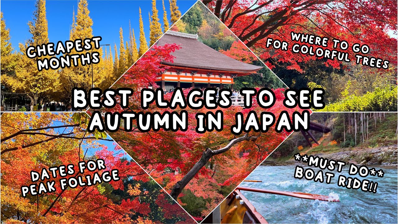 Best time & places to visit Japan! Autumn Fall time:  Tokyo, Kyoto, must do Hozugawa boat ride!