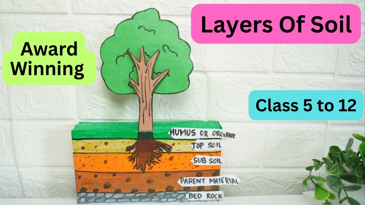 Soil Profile Model | Layers of Soil Project for School | Easy Science Model | Exhibition model