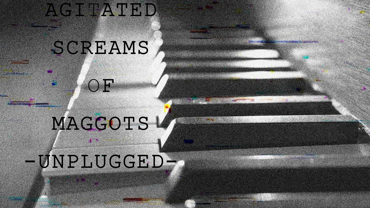 【歌ってみた】AGITATED SCREAMS OF MAGGOTS -UNPLUGGED-［DIR EN GREY]/冬樹(Cover)