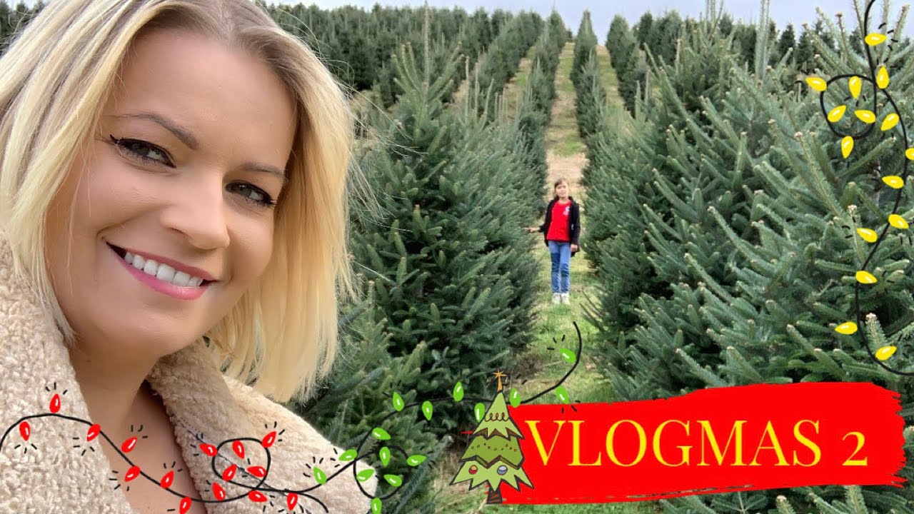 TU MOŻNA ŚCINAĆ WŁASNĄ CHOINKĘ ! JAK WYGLĄDA POLE CHOINEK 🎄W AMERYCE🇺🇸?! VLOGMAS 2