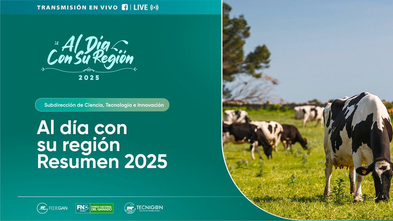 Al día con su región Resumen 2025