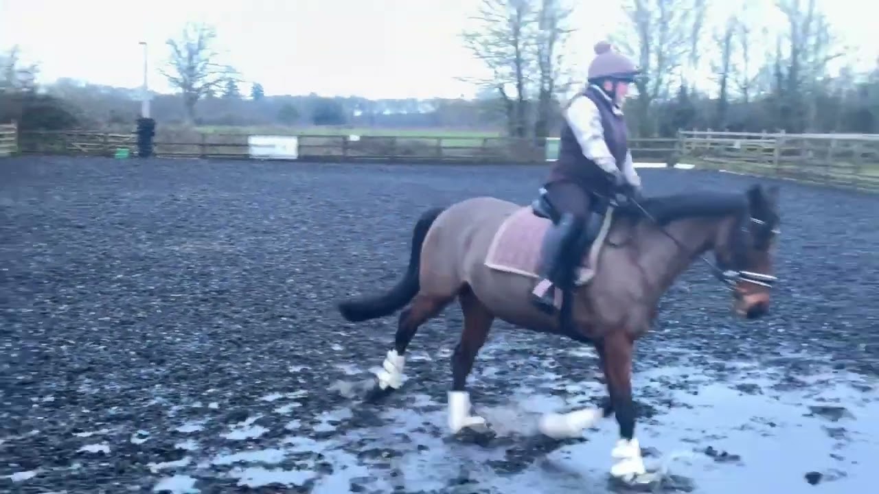 Laura Jackson riding Princess Petra, e-riders February 2026 BD Intro 3