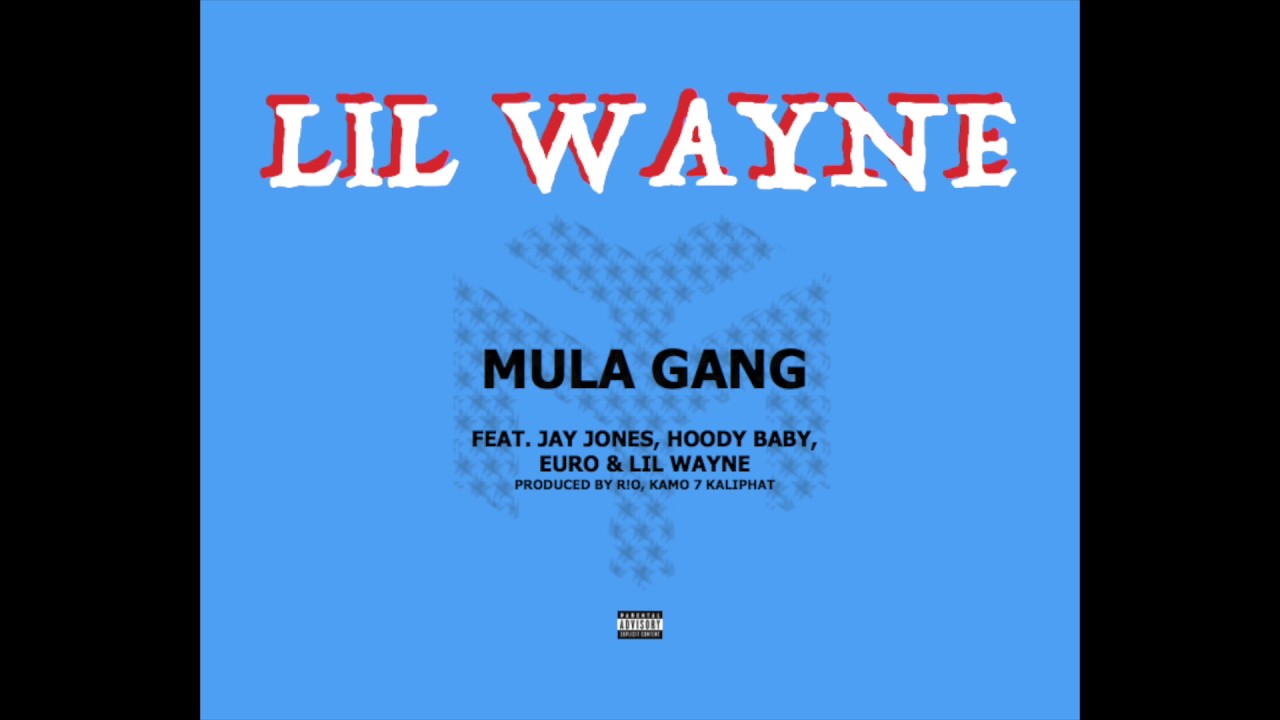 Lil Wayne - Mula Gang feat. Jay Jones, HoodyBaby & Euro (Official Audio)