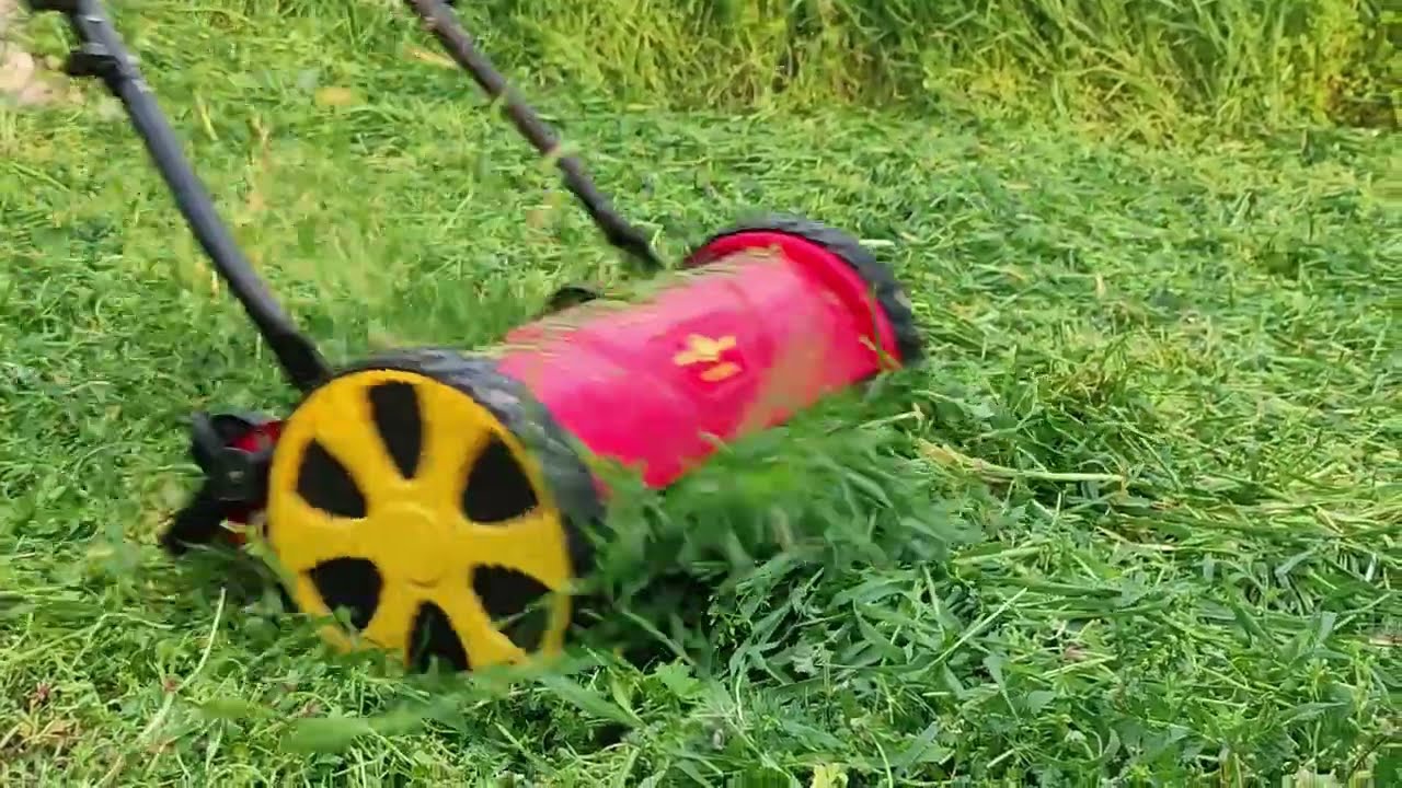 Harmadik éve suhanunk | Hengerkéses fűnyíró vs nagy fű