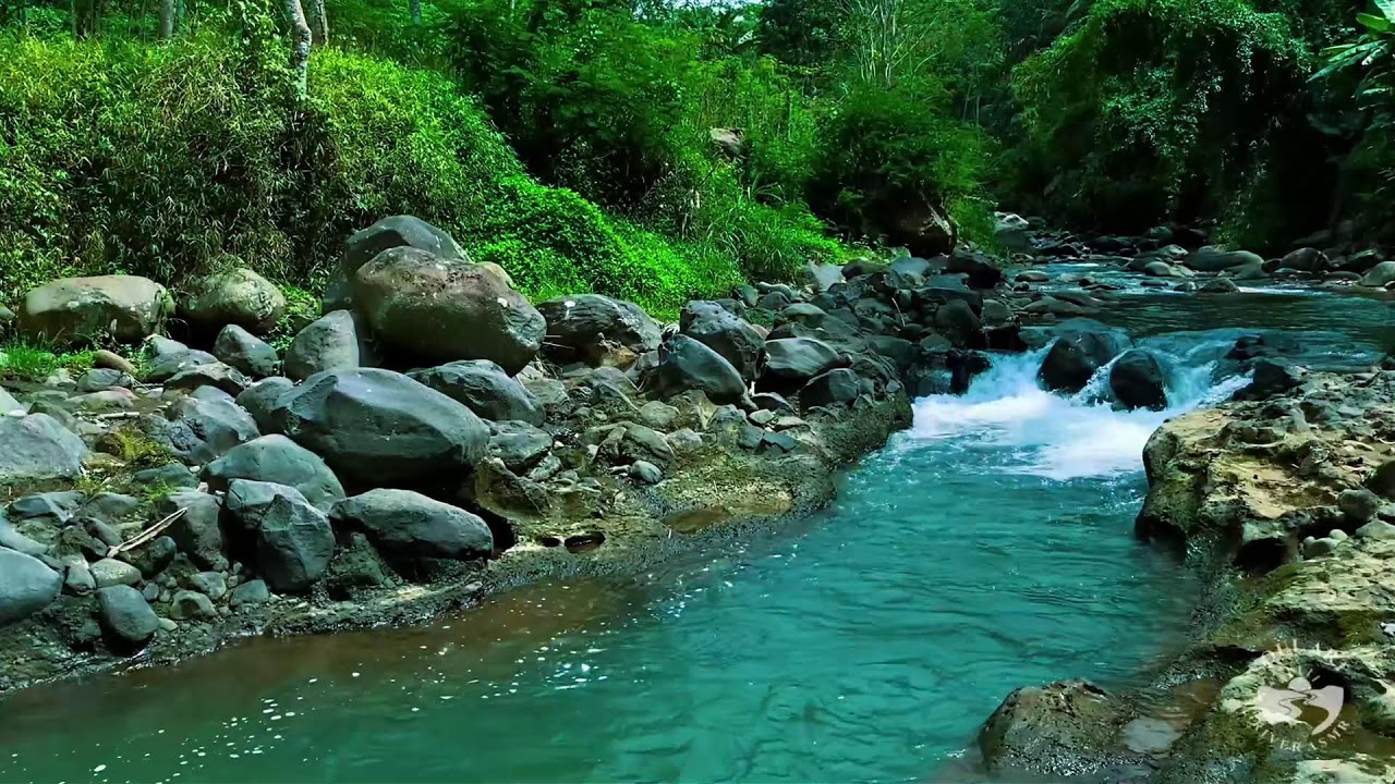 Forest River Sounds at Night for Sleeping | Calm Flowing Water Nature Ambience