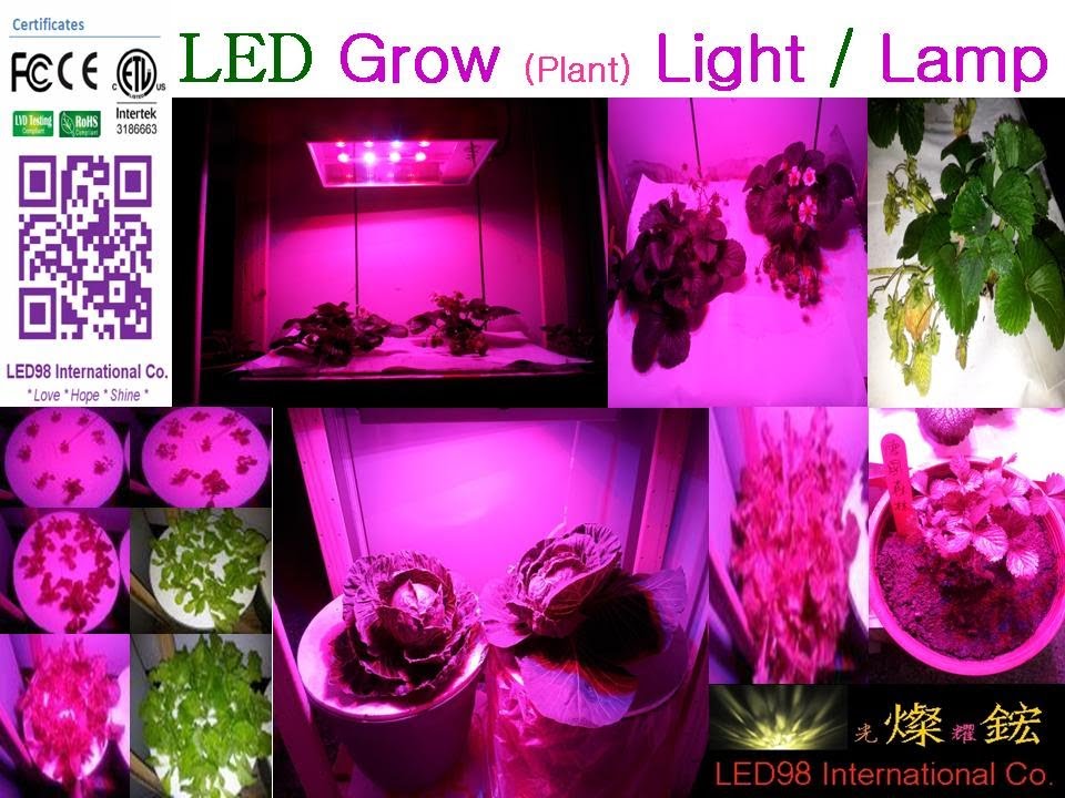植物工廠 / 植物工場植物燈 ( Urban Farm .Grow Light);LED Grow (Plant) Light / Lamp 植物灯